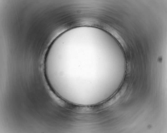 X0000103331042200809192200