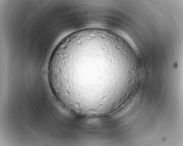 X0000103331043200809192200