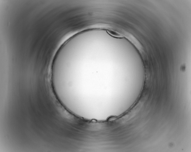 X0000103331044200809192200