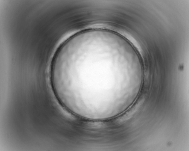 X0000103331045200809192200