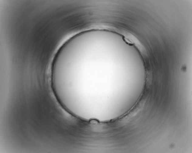 X0000103331046200809192200