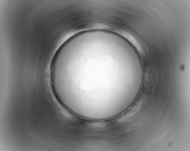 X0000103331047200809192200