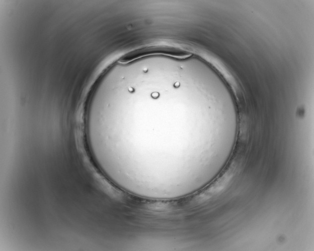 X0000103331048200809192200