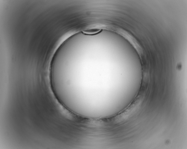 X0000103331050200809192200