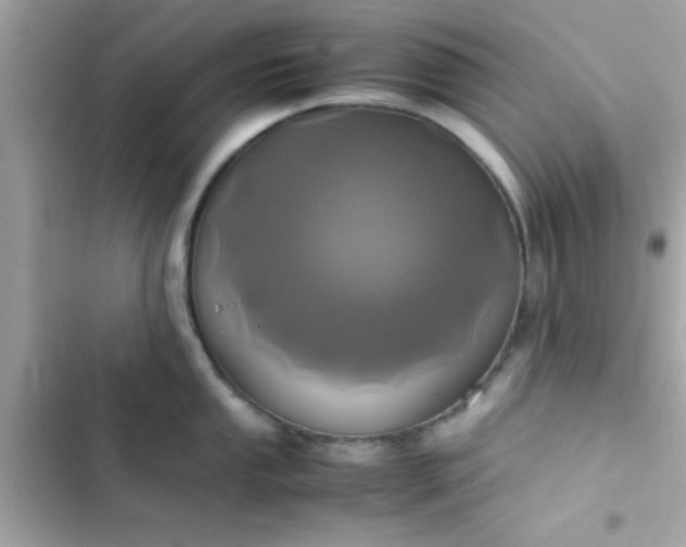 X0000103331053200809192200