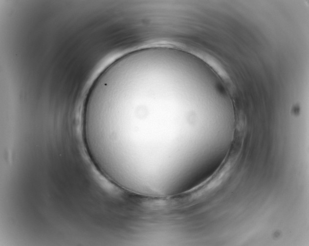 X0000103331054200809192200