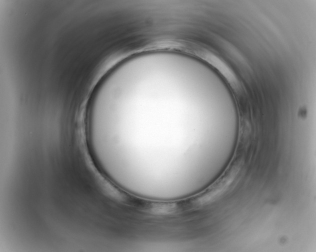 X0000103331055200809192200