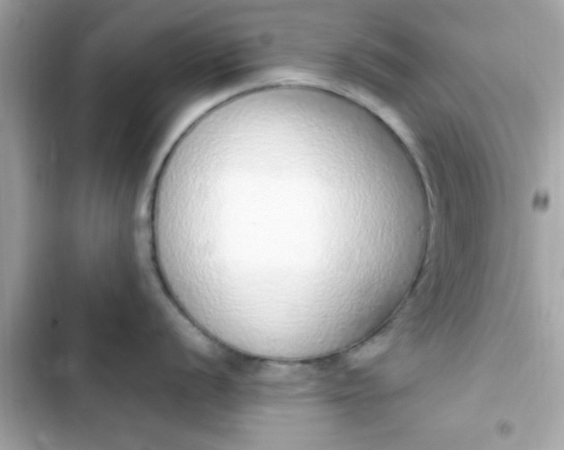 X0000103331056200809192200