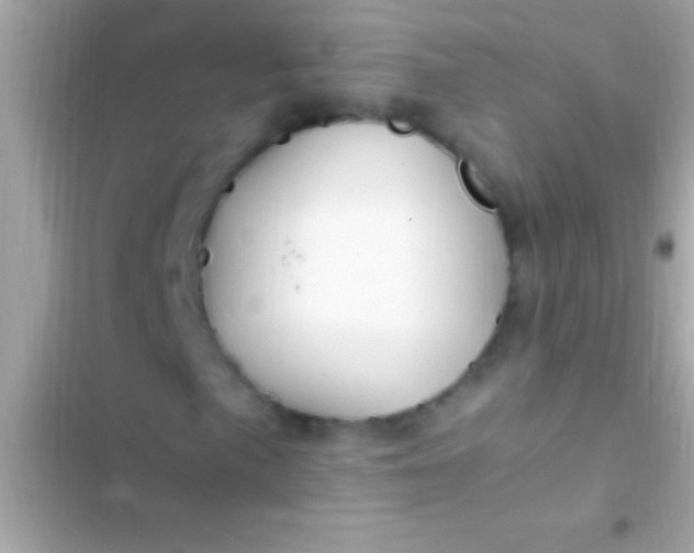 X0000103331057200809192159