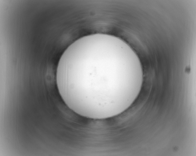 X0000103331058200809192159