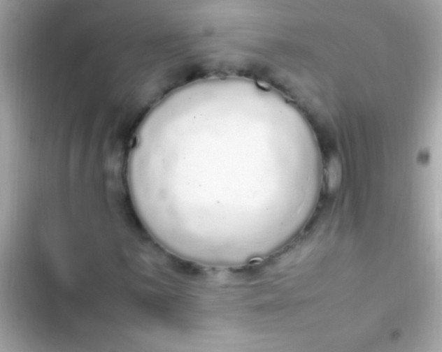 X0000103331059200809192159