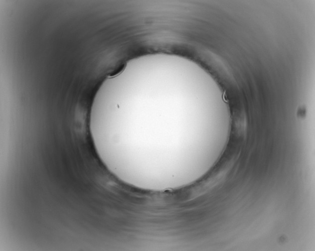 X0000103331060200809192159