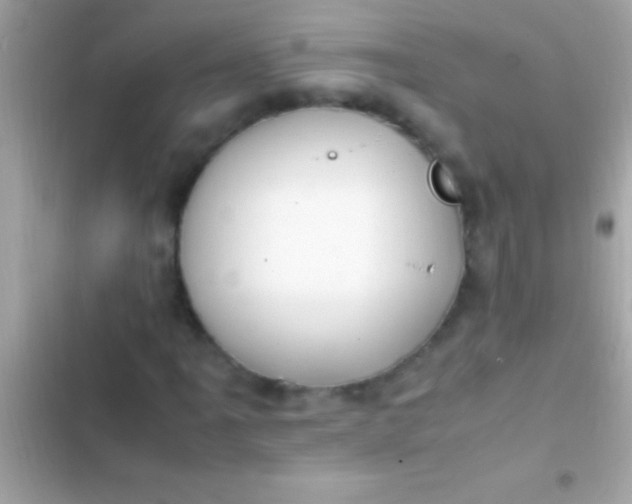 X0000103331061200809192159