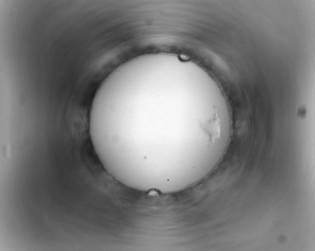 X0000103331062200809192159