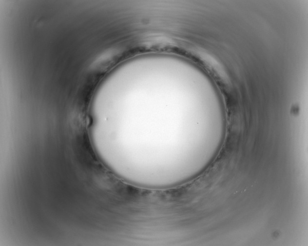 X0000103331063200809192159