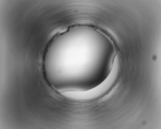 X0000103331065200809192159