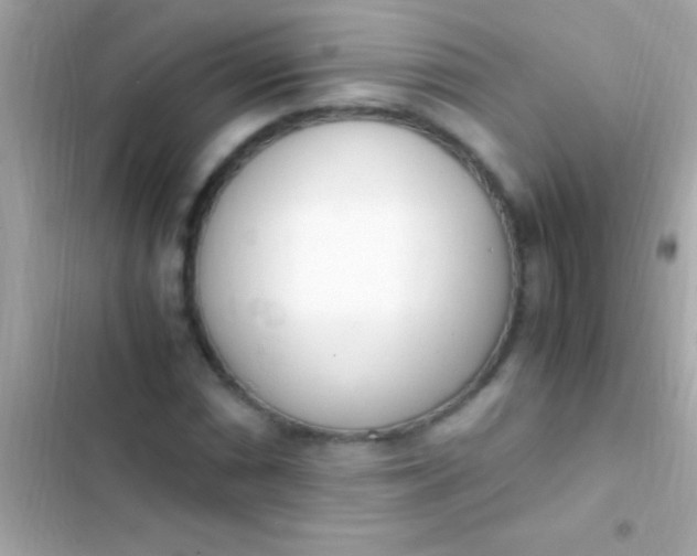 X0000103331066200809192159