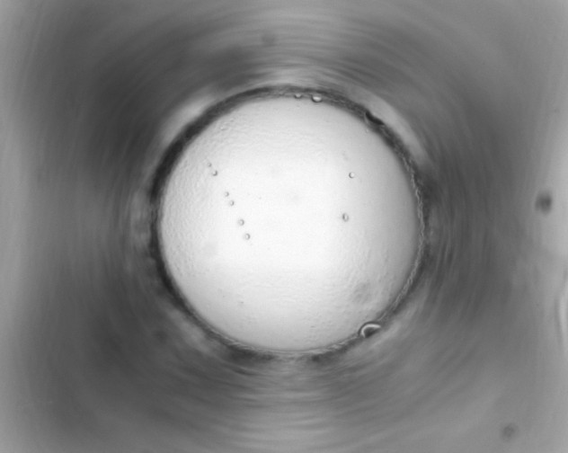 X0000103331067200809192159