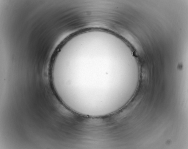 X0000103331068200809192159