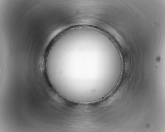 X0000103331069200809192159