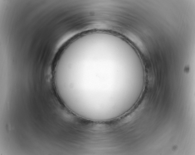 X0000103331070200809192159