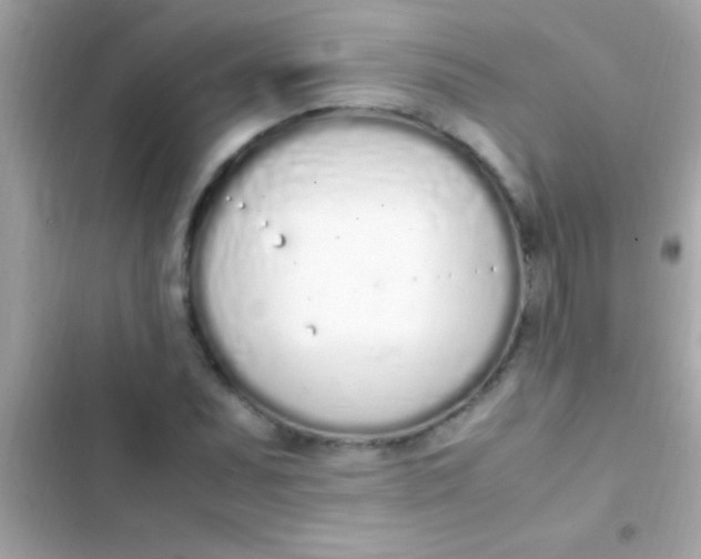 X0000103331071200809192159