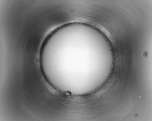 X0000103331072200809192159