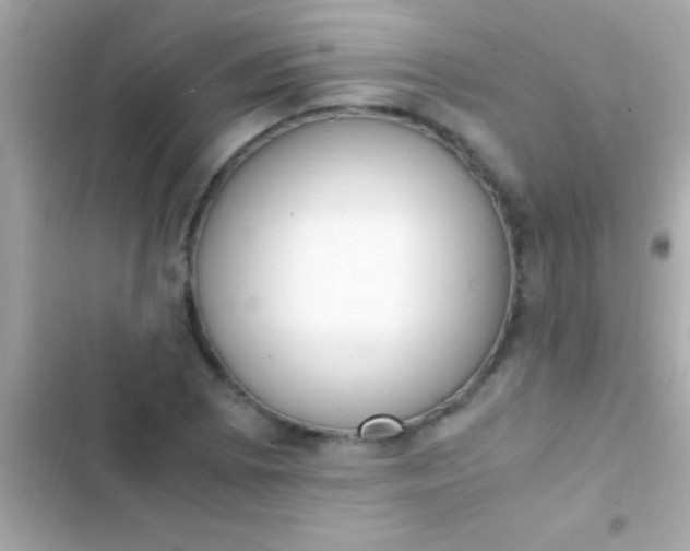 X0000103331073200809192159