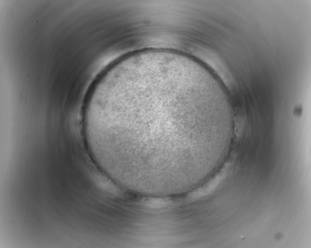 X0000103331074200809192159