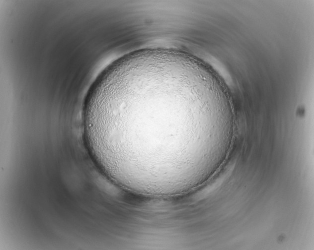 X0000103331075200809192159