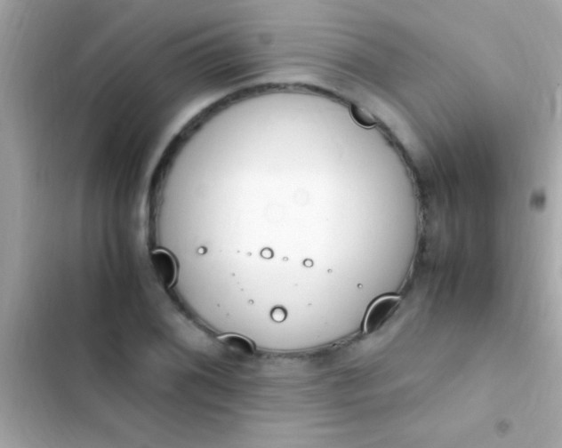 X0000103331076200809192159