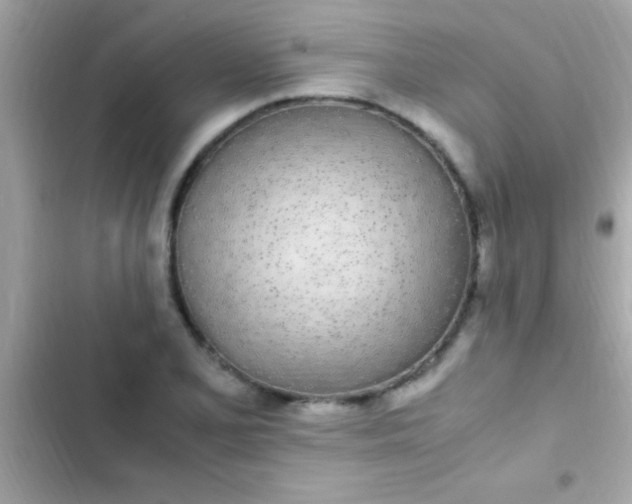 X0000103331077200809192159