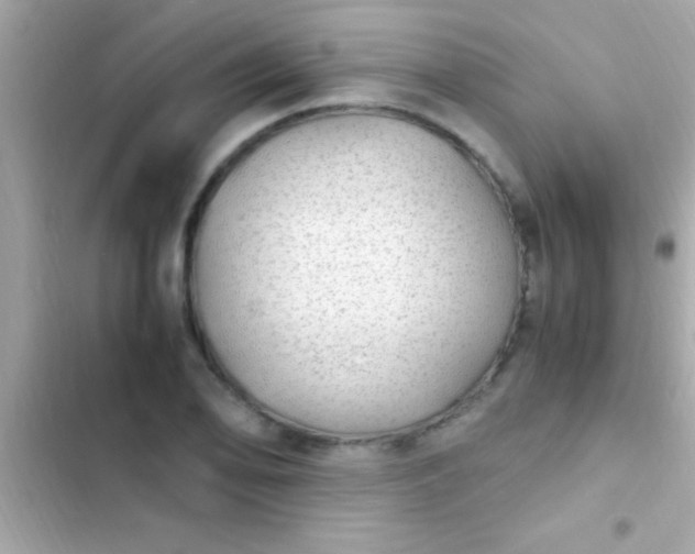 X0000103331078200809192159