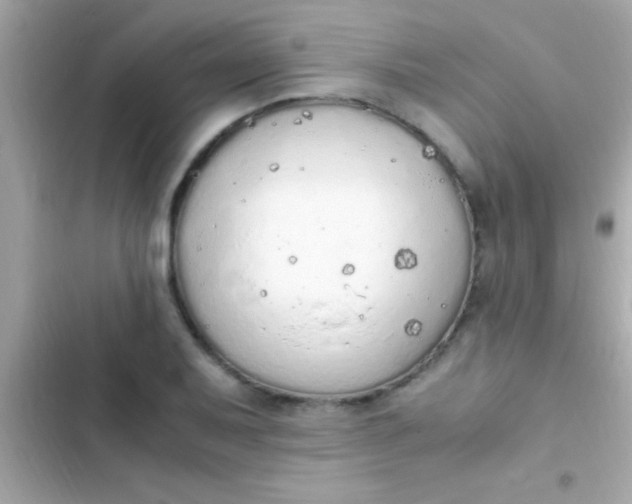 X0000103331079200809192159