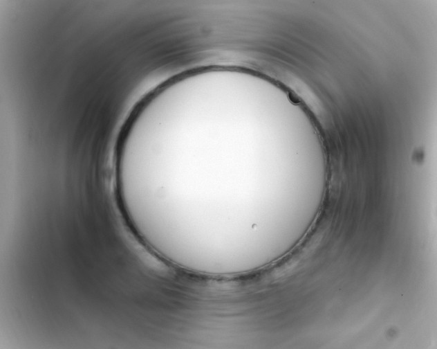 X0000103331080200809192159