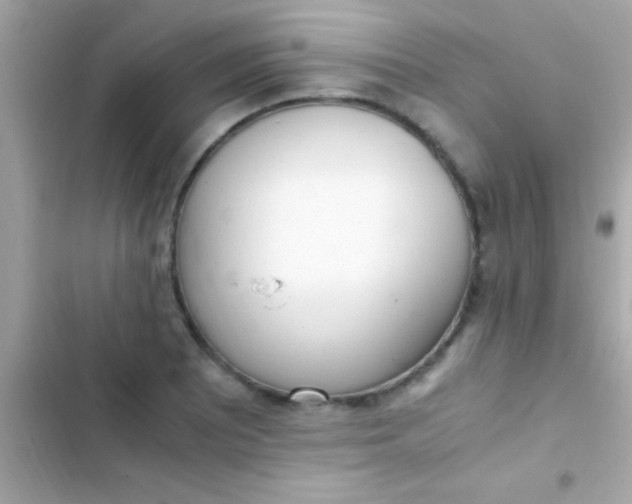 X0000103331081200809192159