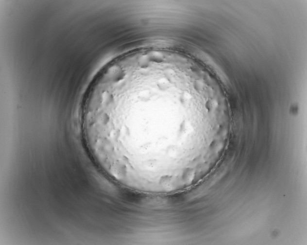 X0000103331083200809192159