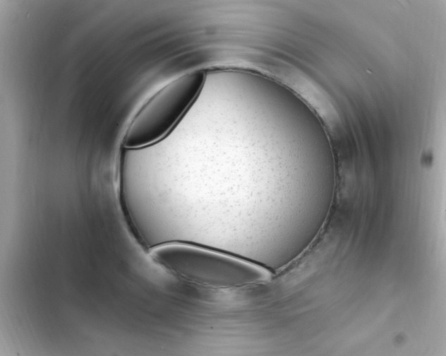 X0000103331084200809192159