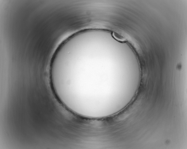 X0000103331085200809192159