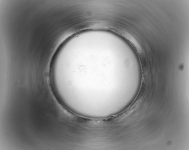 X0000103331087200809192159