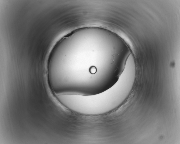 X0000103331088200809192159