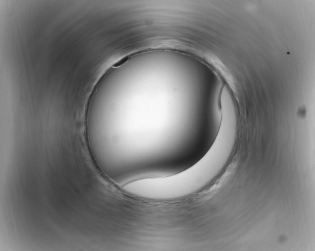 X0000103331089200809192159