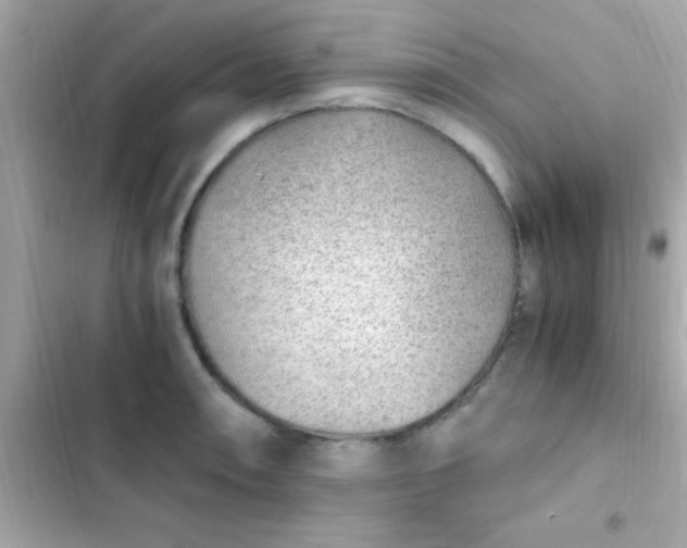 X0000103331090200809192159