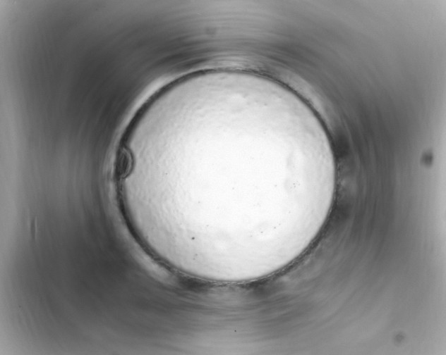 X0000103331091200809192159