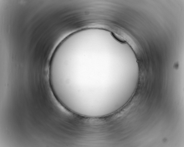 X0000103331092200809192159