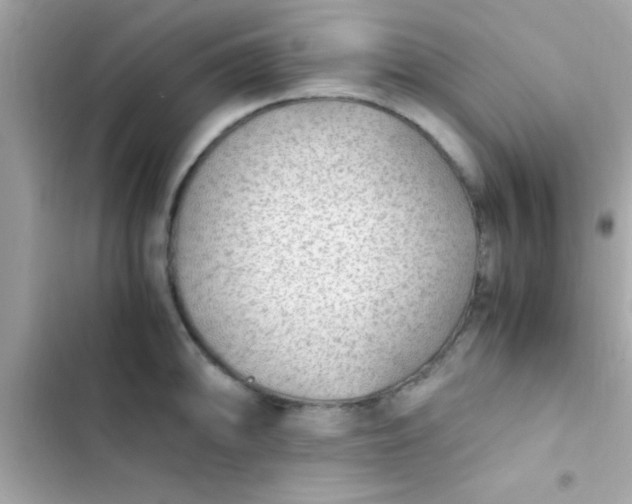 X0000103331094200809192159