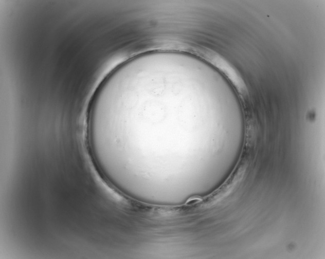 X0000103331095200809192159