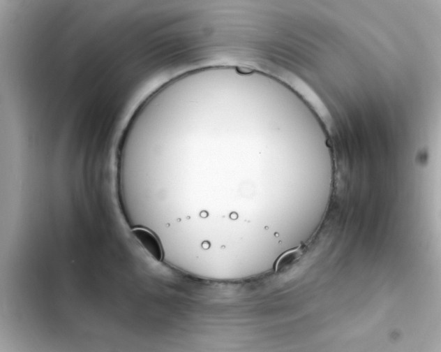 X0000103331096200809192159