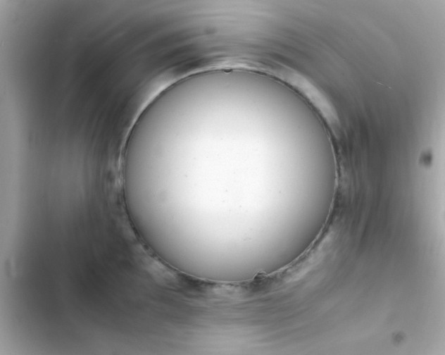 X0000103331097200809192159