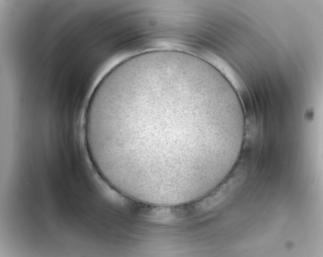 X0000103331098200809192159